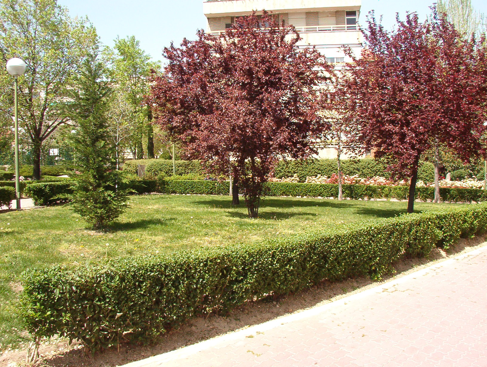riego automatico